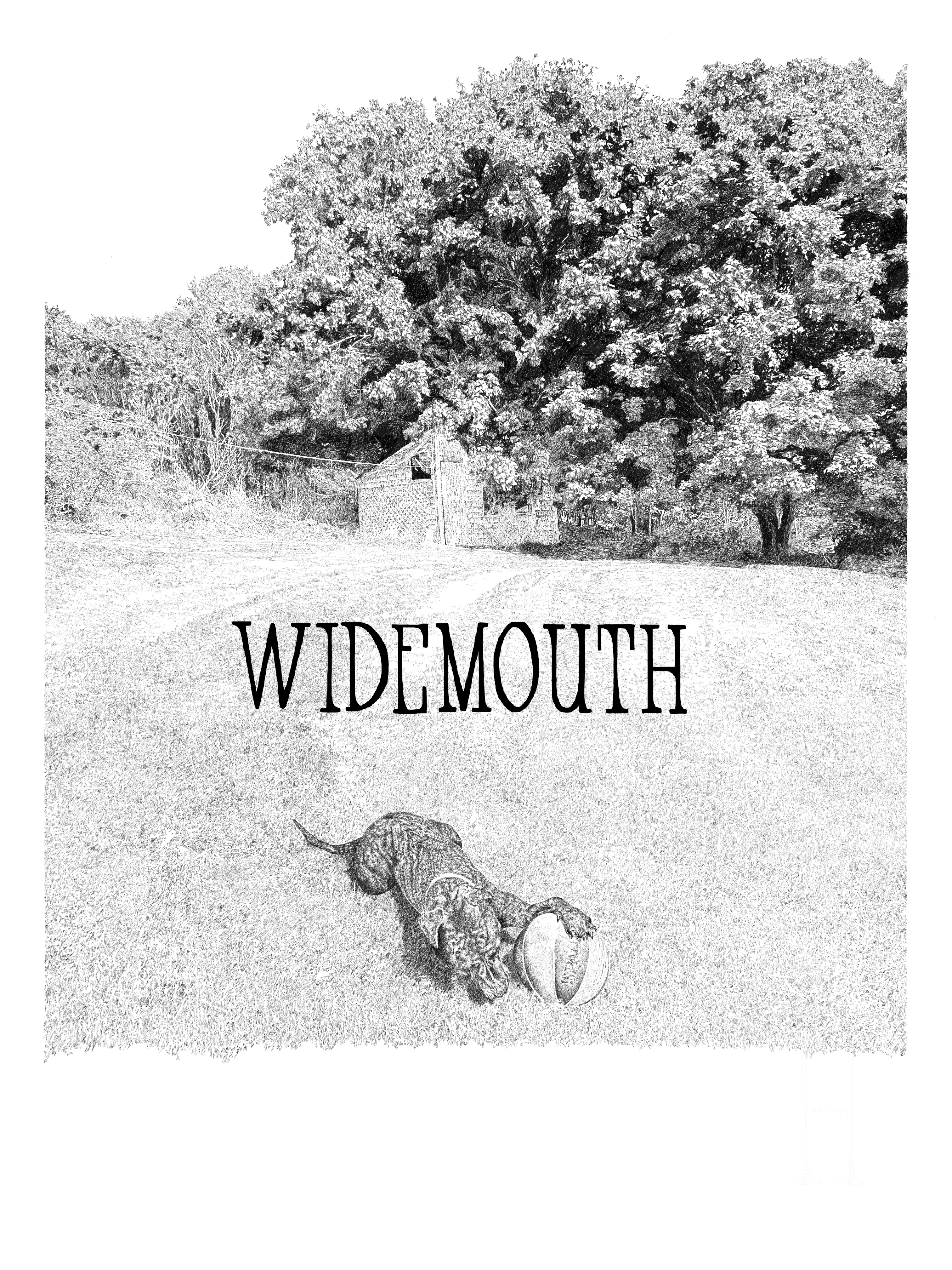 Latest Widemouth Update